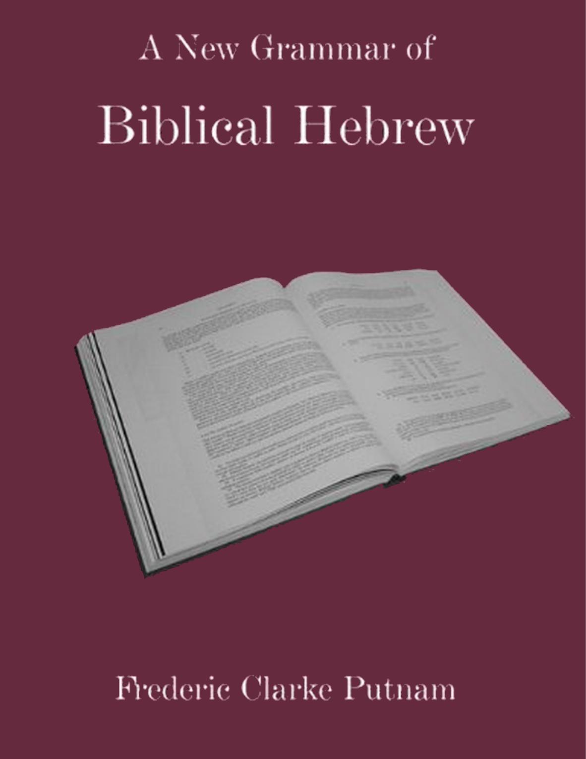 A New Grammar of Biblical Hebrew ( 2010