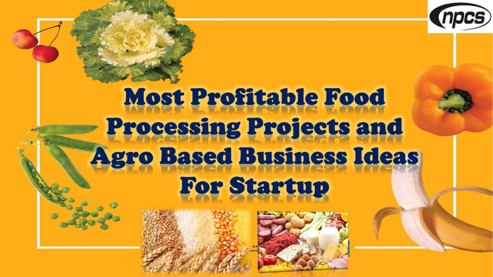 Most Profitable Food Processing Projects and Agro Based Business Ideas for Startup